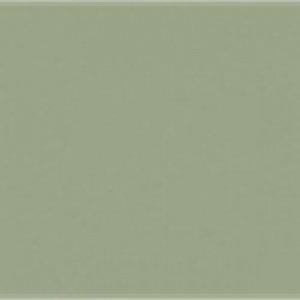 Paint and Paper Library Steel V Paint